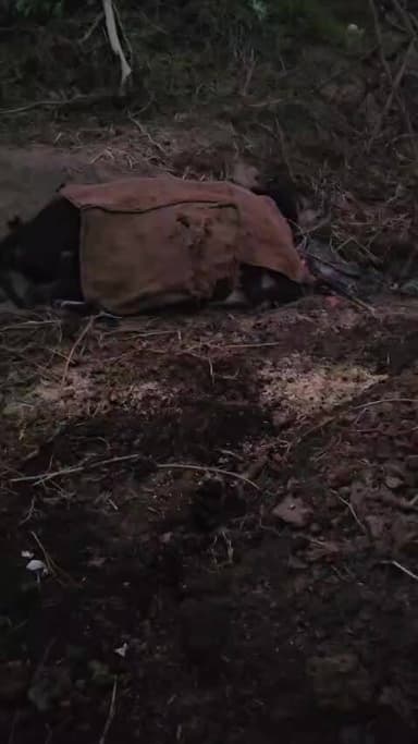 कानपुर अकबरपुर RuRa किशनपुर. 5 दिन गए पड़ी है. कोई नहीं आ रहा है.