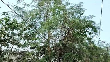 আওরান্ডি১ গ্রাম পঞ্চায়েত এলাকার বলাইচক এলাকায় পথ অবরোধ।