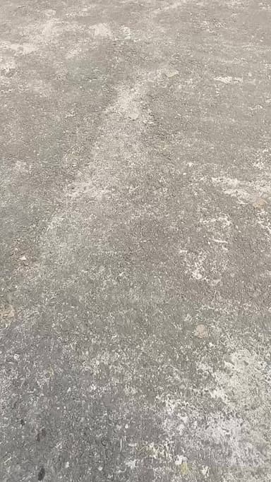 ଭିବି ଜି ରାମ ବିଲ୍ ପ୍ରତ୍ୟାହାର ଦାବିରେ ବାମପନ୍ଥୀ ଦଳ ପକ୍ଷରୁ ବିକ୍ଷୋଭ ପ୍ରଦର୍ଶନ ସହ ଦାବିପତ୍ର ପ୍ରଦାନ।