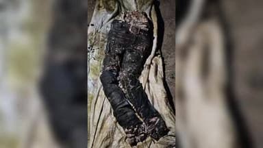 पैठण: गोदावरी नदीजवळील पाटेगाव येथे आढळला धडा वेगळा शव