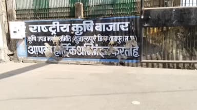 शुजालपुर: सुजालपुर मंडी में गेहूं ₹2560/क्विंटल और सोयाबीन ₹4697/क्विंटल तक बिका