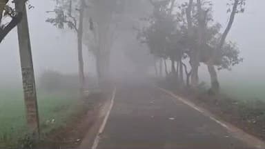 विभूतिपुर: कोहरे से ढका विभूतिपुर, आलू की फसल को हो सकता है भारी नुकसान