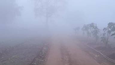 ખંભાળિયા: દેવભૂમિ દ્વારકા જિલ્લામાં છવાયુ ધુમ્મસનો સામ્રાજ્ય..