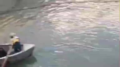 निचार: किन्नौर के काफनू डेम में गिरी वाहन, जान के नुकसान की फिलहाल नहीं मिली सूचना