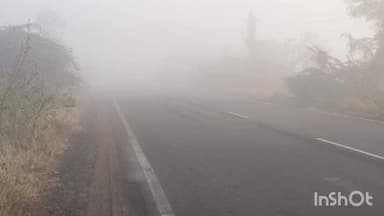 ખંભાળિયા: દેવભૂમિ દ્વારકા જિલ્લામાં વહેલી સવારથી જ ધુમ્મસ ભર્યું વાતાવરણ છવાયુ