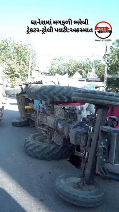 ધાનેરાના સમાચારો અને માહિતી માટે ફોલો કરો...@dhaneramedia
#dhanera #dhanera_city #dhaneramedia #banaskantha #accidentn...