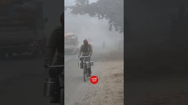 भदोही में घना कोहरा बड़ी ठंड #bhadohi #gyanpur