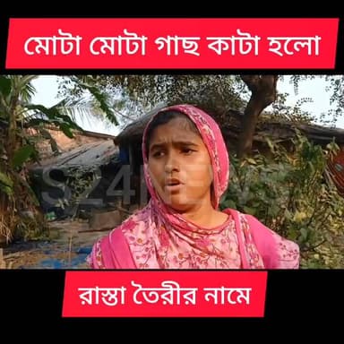 বেছে বেছে মোটা মোটা গাছ কাটা হলো জয়নগরে
#BaruipurNews #বারুইপুর #Baruipur ###sonarpurnews #সোনারপুর #Sonarpur #follow...