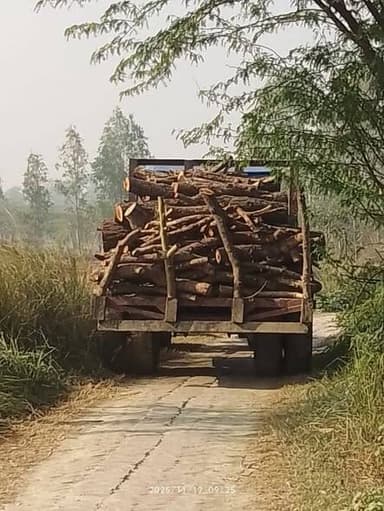 रायबरेली के जगतपुर थाना क्षेत्र के अंतर्गत ग्राम थूलराई गांव में वन विभाग और स्थानीय पुलिस की मिली भगत से निवासी जिगना ...