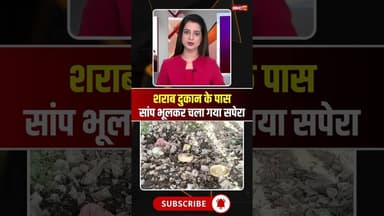 शराब दुकान के पास सांप भूलकर चला गया सपेरा। #jabalpurviralvideo #mpnews #viralnews #viralshorts