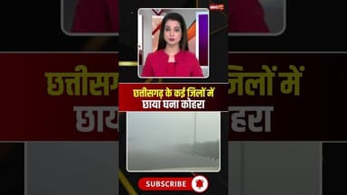 छत्तीसगढ़ के कई जिलों में छाया घना कोहरा। #cgweatherupdate #cgweathernews #viralshorts