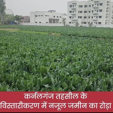 #gonda के #colonelganj में 65 बीघा सरकारी नजूल भूमि पर भू-माफियाओं का कब्जा, संसाधनों के अभाव में घुट रही तहसील। अवैध कब...