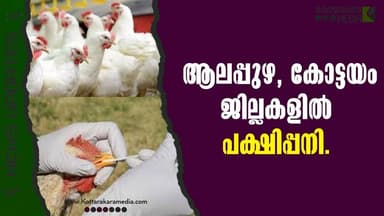 ആലപ്പുഴ കോട്ടയം ജില്ലകളിൽ പക്ഷിപ്പനി | #malayalamnews | മലയാളം വാർത്തകൾ | KOTTARAKARAMEDIA