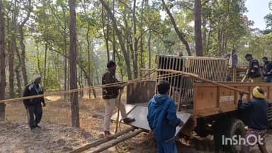 एमसीबी जिले के जनकपुर नगर पंचायत में भालू का सफल रेस्क्यू, वन विभाग की त्वरित कार्रवाई