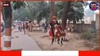 नितीन नवीन के स्वागत में पहुचे घोडस्वर को घोड़े ने दी पटखनी
#mvbiharnews #BiharBreaking #nitinnavin #bjp #horseriding