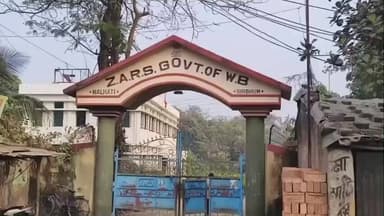 নলহাটি ১: নলহাটি আঞ্চলিক অভিযোজন গবেষণা কেন্দ্রে গাছ কেটে বিক্রি করে দেওয়ার অভিযোগ প্রাতভ্রমণকারীদের