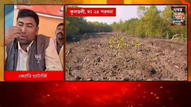 কুলতলীতে ম্যানগ্রোভ কেটে বেআইনি ভেড়ি তৈরির অভিযোগ।শাসক দলের বিরুদ্ধে।