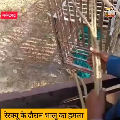 रेस्क्यू के दौरान भालू ने किया हमला#chhattisgarhnews #jagdalpur #viralvideos #raipur