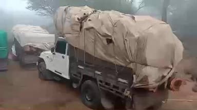 लोहारू: सीएम फ्लाइंग टीम की बड़ी कार्रवाई: सिंघानी बस स्टैंड के पास लकड़ियों से भरी चार पिकअप गाड़ियां पकड़ीं