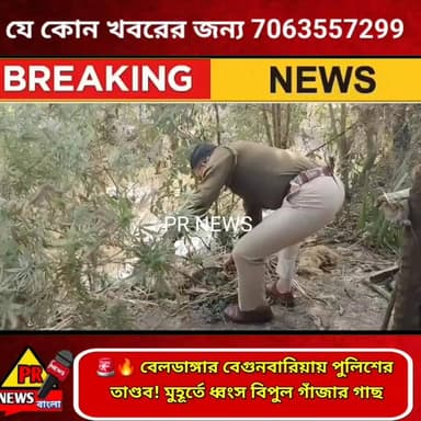 🚨🔥 বেলডাঙ্গার বেগুনবারিয়ায় পুলিশের
তাণ্ডব! মুহূর্তে ধ্বংস বিপুল গাঁ,জা,র গাছ
#Murshidabad #highlights PR News Mamata ...