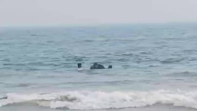 ପୁରୀ ମ୍ୟୁନିସିପାଲଟି: ସମୁଦ୍ର କୂଳ ସେକ୍ଟର ସାତ ରେ ଲହଡି ମାଡ଼ରେ ଭାସିଗଲେ ଓଡ଼ିଆ ପଯ୍ୟଟକ, ଉଦ୍ଧାର କଲେ ଲାଇଫ ଗାର୍ଡ l