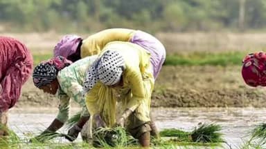 जिला प्रशासन ने कहा, किसान भारत की खाद्य सुरक्षा, अर्थव्यवस्था और आत्मनिर्भरता की असली नींव हैं