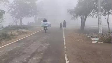 मैनाटांड़: पछुआ हवा से बढ़ी ठंड, मैनाटांड़ में कोल्ड कर्फ्यू जैसा दिखा नज़ारा