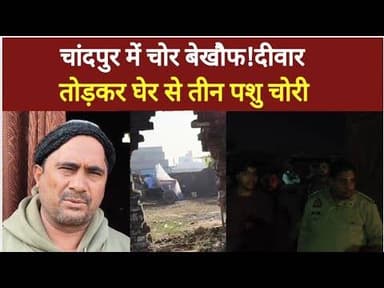 चांदपुर में दीवार तोड़कर तीन पशु चोरी,किसान के घेर से वारदात, पुलिस जांच में जुटी#bijnornewsupdate1