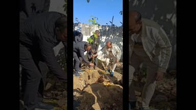 ઝાલોદ ખાતે શહેરી વિકાસ વર્ષ ૨૦૨૫ અંતર્ગત Women For Tree Campaign હેઠળ વૃક્ષારોપણ કાર્યક્રમ યોજાયો