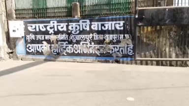 शुजालपुर: सुजालपुर मंडी में गेहूं ₹2601 और सोयाबीन ₹5096 प्रति क्विंटल तक बिका