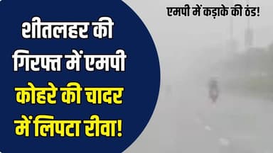 एमपी में ठंड और कोहरे का डबल अटैक, विंध्य तक शीतलहर का प्रकोप
#vindhyatimes #rewanews #satnanews #shahdolnews #sidhinew...