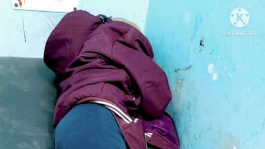 पिता को खाना देने गया बेटा, जंगली सूअर ने किया हमला
#रैपुरा #जंगली_सूअर_हमला #वन्यजीव_आतंक #किशोर_घायल #वन_विभाग #स्थानी...