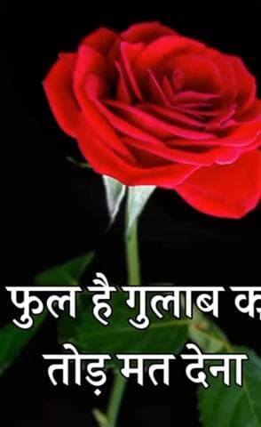 Aditya# kitni# der #mein #batao# trt#
9368