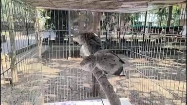 ગણદેવી: બીલીમોરા નું પક્ષીઘર જાળવણીના અભાવ બાદ પ્રમુખની સ્પષ્ટતા