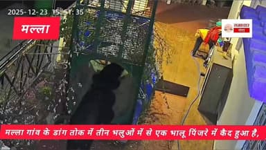 मल्ला गांव के डांग तोक में तीन भलुओं में से एक भालू पिंजरे में कैद हुआ है.. #CMUttrakhand #देवभ #allfollower #forest #hi...