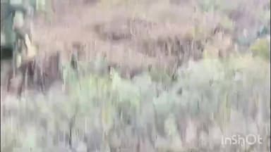 चिखलदरा: शहानुर धरणावर पर्यटकांना बिबट्याचे दर्शन;पर्यटक व ग्रामस्थांना सतर्कतेचा इशारा