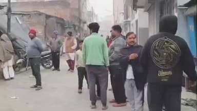 हसनपुर: हसनपुर शहर में बारहसिगा का हाईवोल्टेज ड्रामा, कुत्तों से जान बचाने को कोतवाली में दी शरण, सात घंटे की लुका-छिपी