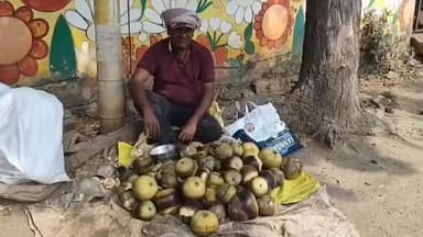 తిరువూరులో కాలం కాని కాలంలో తాటి ముంజలు