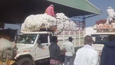 జుక్కల్: మద్నూర్ మండల కేంద్రంలోని పత్తి వాహనాలతో కళకళలాడుతున్న జిన్నింగ్ మిల్లులు, సీసీఐ తో పాటు ప్రైవేట్ వాహనాల్లో అమ్మకాలు