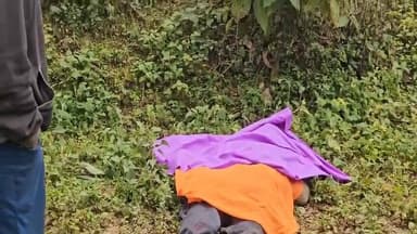 मंडी : बल्ह के भड्याल में तेंदुए ने मारा एक युवक, सात घायल
है #फॉलो
@