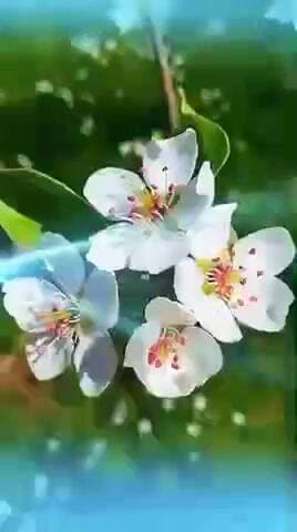 aese nhi bhut log h jo nhi dekh sakte subha ka suraj