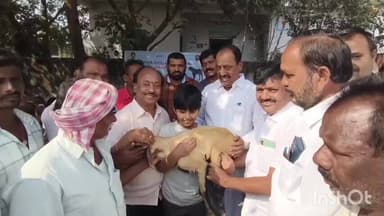 పశు వైద్య శాఖ ఆధ్వర్యంలో ఉచిత నటల పంపిణీ కార్యక్రమం కి హాజరైన ఎమ్మెల్యే రేవూరి ప్రకాష్ రెడ్డి