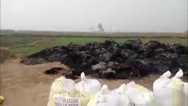 जमुई: अकौनी गांव में असामाजिक तत्वों ने खलिहान में लगाई आग, 40 हजार नेवारी और एक मोटर जलकर हुआ राख