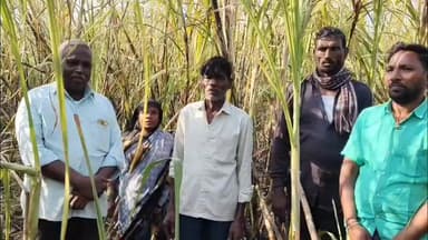 ಹುಲಸೂರ: ಬೇಲೂರ ಗ್ರಾಮದಲ್ಲಿ ಕಬ್ಬನಿ ಗದ್ದೆಗೆ ಬೆಂಕಿ; 5 ಲಕ್ಷಕ್ಕೂ ಅಧಿಕ ರೂ. ಮೌಲ್ಯದ ಕಬ್ಬು ಸುಟ್ಟು ಭಸ್ಮ