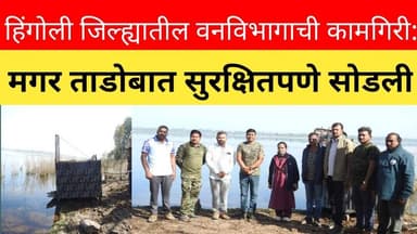 हिंगोली जिल्ह्यातील वनविभागाची कामगिरी: मगर ताडोबात सुरक्षितपणे सोडली