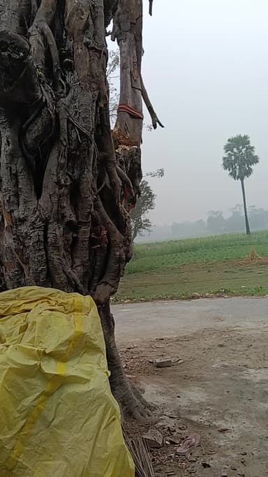 Vaishali #comedian Bihar ma both thand hai arr yaha ka log thanda sa