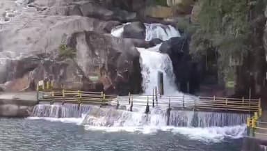 அம்பாசமுத்திரம்: மணிமுத்தாறு அருவியில் சுற்றுலா பயணிகள் குளிக்க அனுமதி. வனத்துறை அறிவிப்பு.