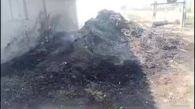 કોડીનાર: મીતીયાજ ગામે જીઇબીના ટીસીમા તણખાં થતા મગફળીના ચારામા આગ લાગી, લાખોનો ચારો બળીને ખાખ