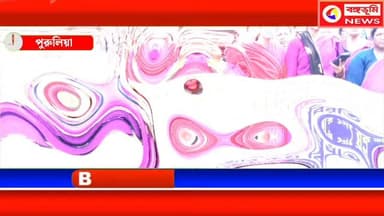 মাসিক ১৫ হাজার টাকা বেতন, সমস্ত প্রকার ভাতা প্রধান ৮ দফা দাবি নিয়ে কর্মবিরতি রেখে বিক্ষোভ আশা কর্মীদের
#purulianews #M...