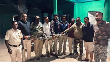 ಪಾಂಡವಪುರ: ನಾಲೆಯಲ್ಲಿ ಕಾಣಿಸಿಕೊಂಡಿದ್ದ ಮೊಸಳೆ ಸೆರೆ, ಪಾಂಡವಪುರ ತಾಲ್ಲೂಕು ಅರಳುಕುಪ್ಪೆ ಗ್ರಾಮದಲ್ಲಿ ಅರಣ್ಯಾಧಿಕಾರಿಗಳ ಕಾರ್ಯಾಚರಣೆ